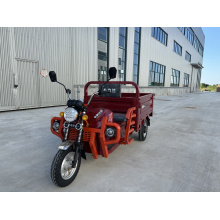 3 Rad elektrische Roller leistungsstarker Roller 1000W 60 V